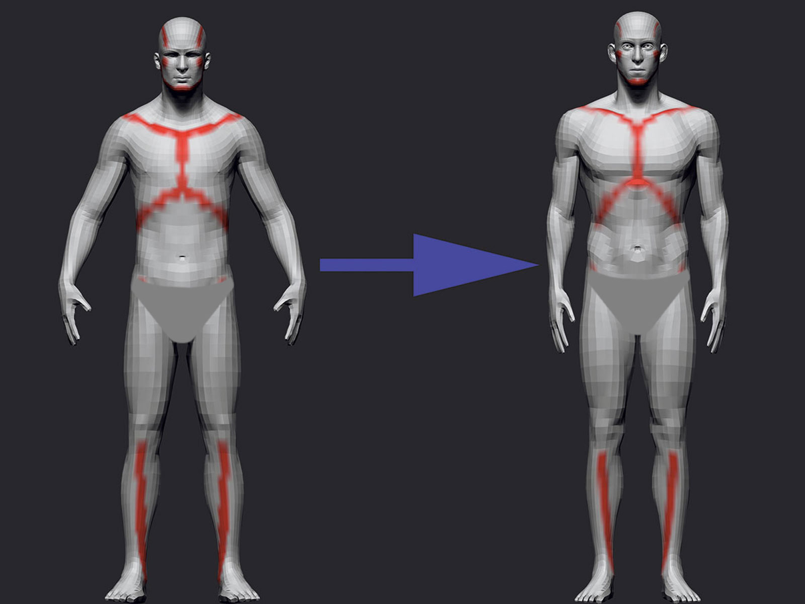 mojasamesazi anatomi zibrush9 1 - آموزش ساخت آناتومی در زیبراش